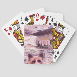 Jeu De Cartes Stare-Chat Classic Jouer Cartes