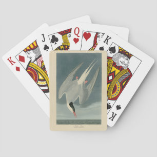 Jeu De Cartes Sterne arctique des oiseaux d'Amérique d'Audubon