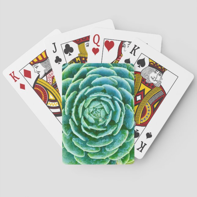 Jeu De Cartes Succulent de vert de jade (dos)