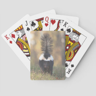 Jeu De Cartes Sujet