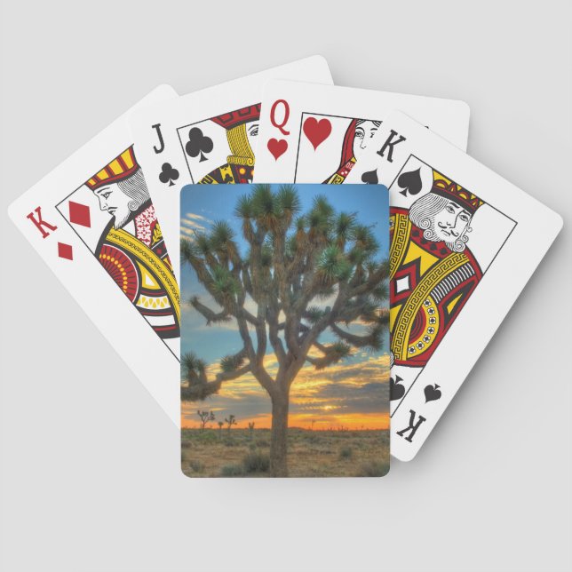 Jeu De Cartes Sunrise Du Parc National Joshua Tree (dos)