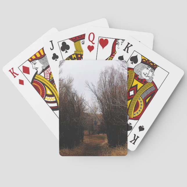 Jeu De Cartes Surcroissance de Bannack en chute libre (dos)