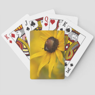 Jeu De Cartes Susan aux yeux noirs avec une Teardrop