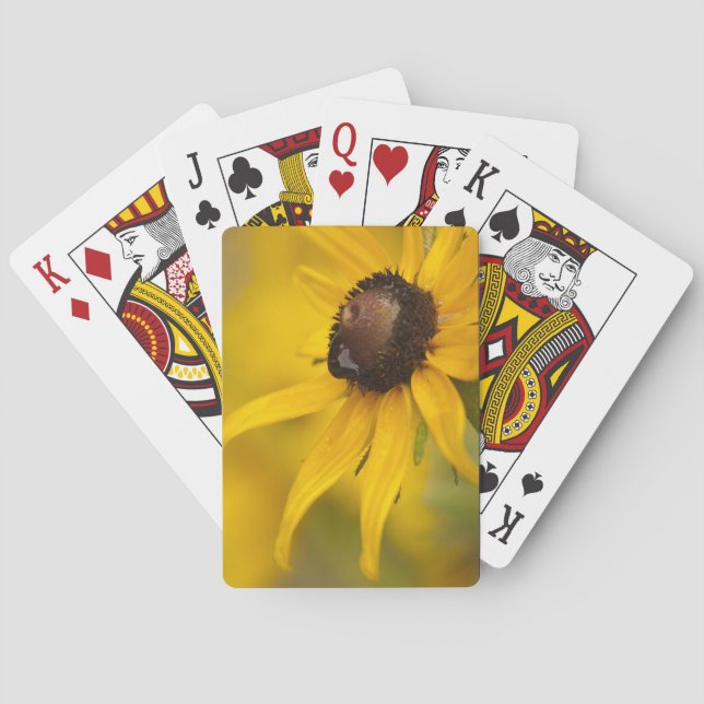 Jeu De Cartes Susan aux yeux noirs avec une Teardrop (dos)
