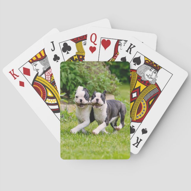 Jeu De Cartes Sympa drôles Boston Terrier chiens chiots jouer - (dos)