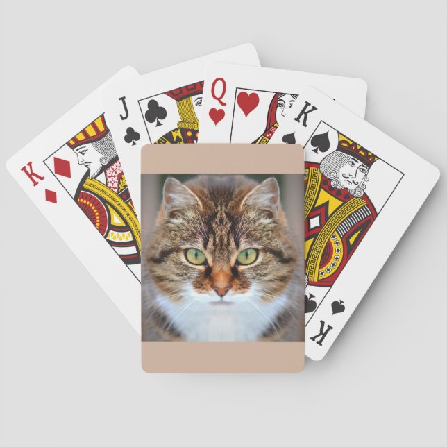 Jeu De Cartes Tabby Cat (dos)