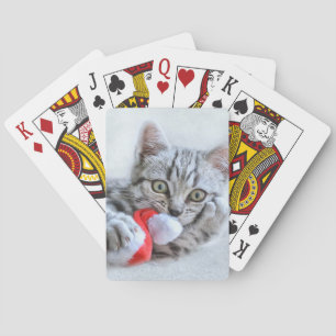 Jeu De Cartes Tabby gris mou Chat avec Noël Casquette