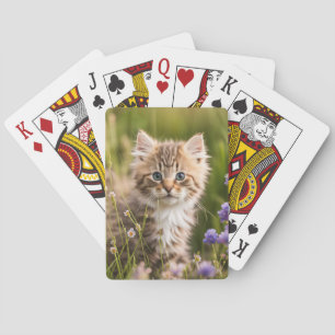 Jeu De Cartes Tabby Kitten En Fleur sauvage