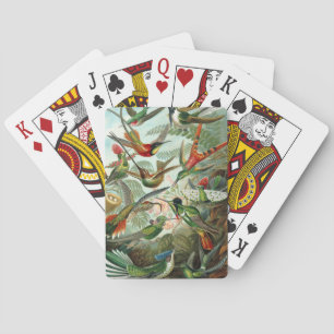 Jeu De Cartes tableau classique de la faune des oiseaux colibris