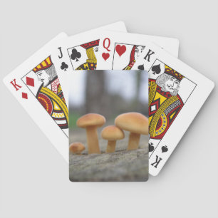 Jeu De Cartes Tabourets Tabourets macro Lecture de cartes
