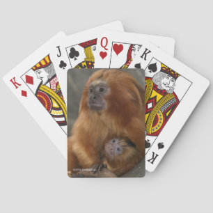 Jeu De Cartes Tamarin d'or de lion avec le bébé 2