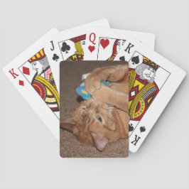 Jeu De Cartes Tater
