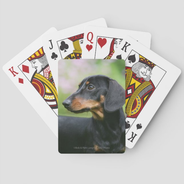 Jeu De Cartes Teckel noir et bronzage 2 de Miniture (dos)