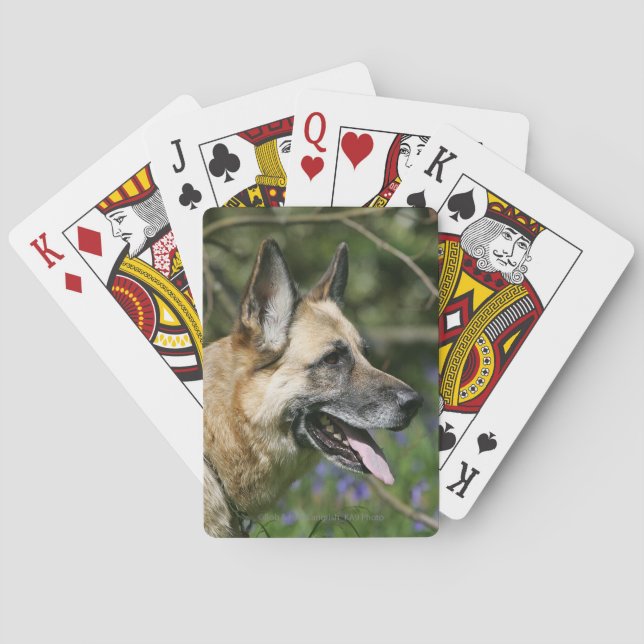 Jeu De Cartes Tête de berger allemand 3 (dos)