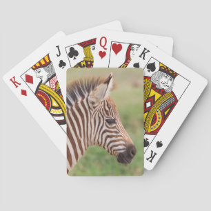 Jeu De Cartes Tête de zèbre de bébé, Tanzanie