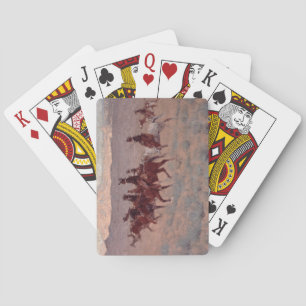 Jeu De Cartes The Cowpuncher