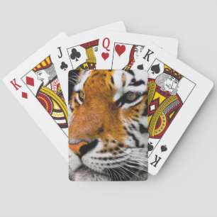 Jeu De Cartes Tigre