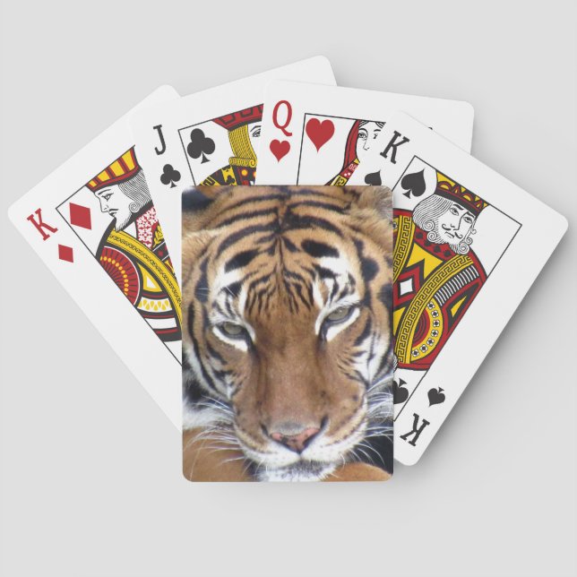 Jeu De Cartes Tigre - Bicyclettes de jeu (dos)