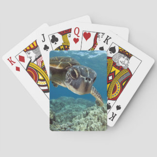 Jeu De Cartes Tortue de mer verte hawaïenne
