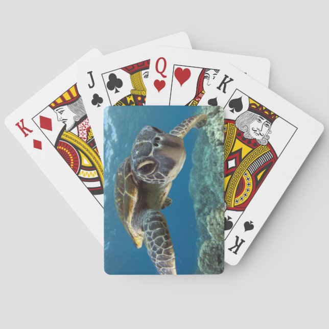 Jeu De Cartes Tortue de mer verte hawaïenne (dos)