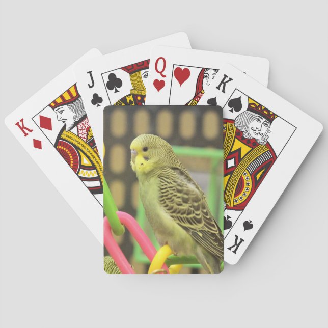 Jeu De Cartes Touche (dos)