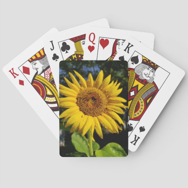 Jeu De Cartes Tournesol (dos)