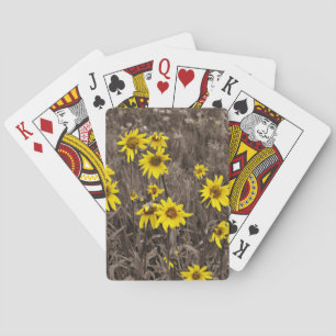 Jeu De Cartes Tournesol dans la Montagne Rocheuse
