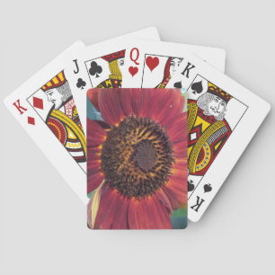 Jeu De Cartes Tournesol rouge