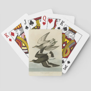 Jeu De Cartes Townsend's Sandpiper - Audubon's Birds of America