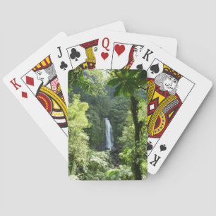 Jeu De Cartes Trafalgar Falls Tropical Rainforest Photographie