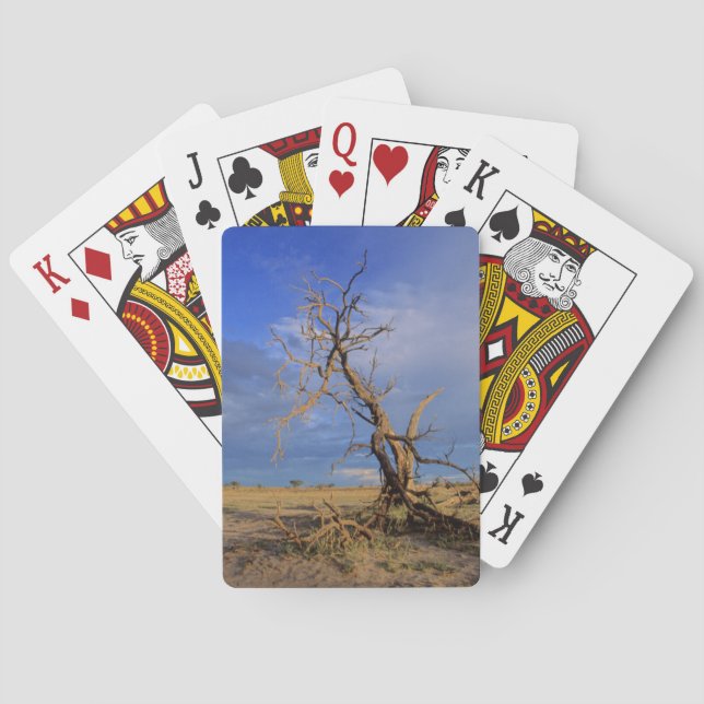 Jeu De Cartes Tree (dos)