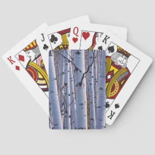 Jeu De Cartes Trembles dans le parc national de Gunnison
