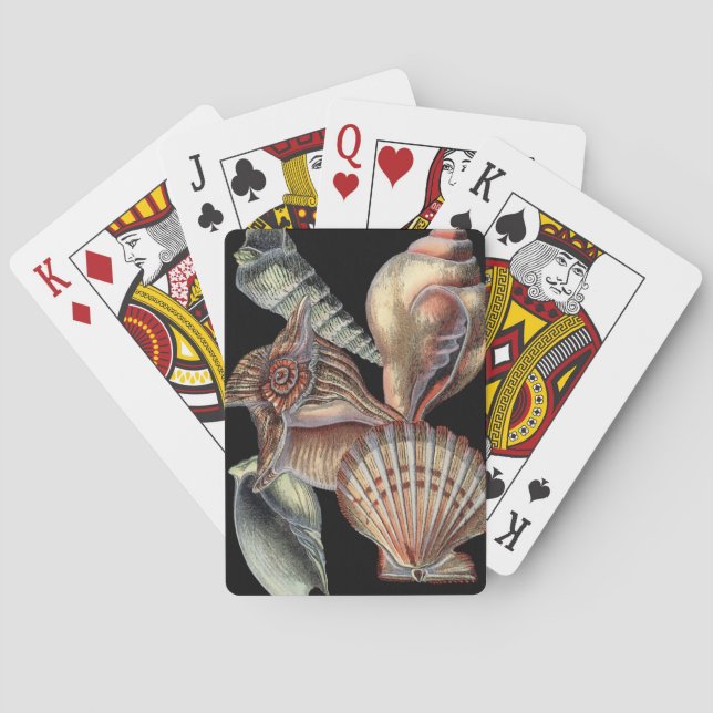 Jeu De Cartes Trésors de la mer (dos)