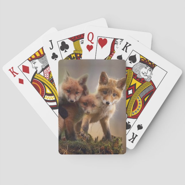 Jeu De Cartes Triplés renards (dos)
