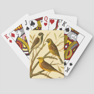 Jeu De Cartes Trois oiseaux domestiques perchés sur une branche