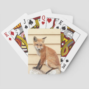 Jeu De Cartes Trousse Red Fox dans la vallée de l'Hudson