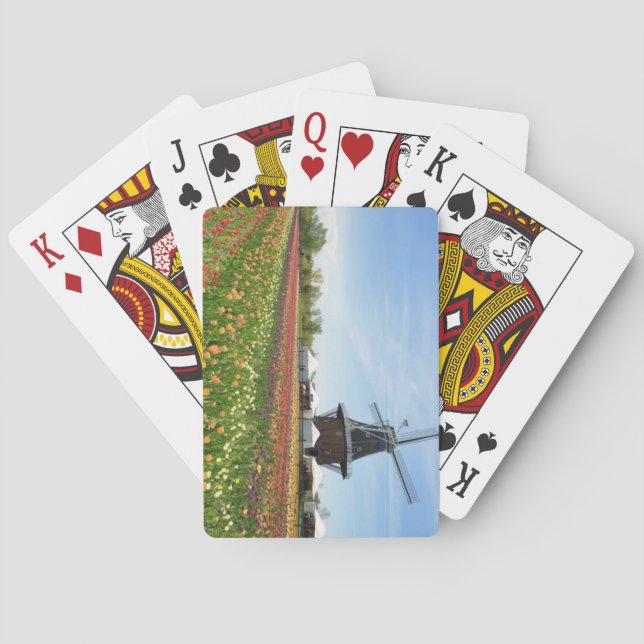 Jeu De Cartes Tulip Time Festival (Holland, Michigan) (dos)