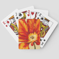 Tulipe de perroquet II