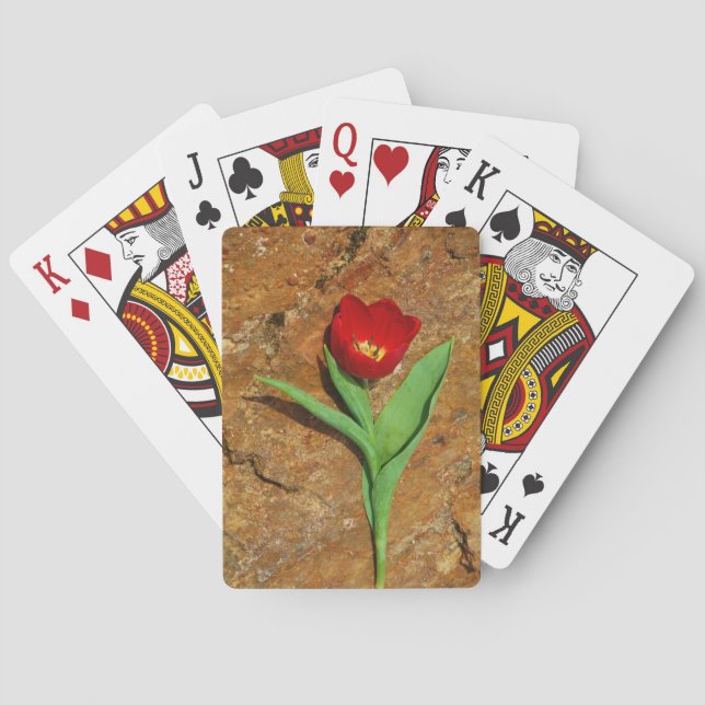 Jeu De Cartes Tulipe jaune et rouge (dos)