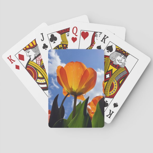 Jeu De Cartes Tulipe orange, Ciel bleu (dos)