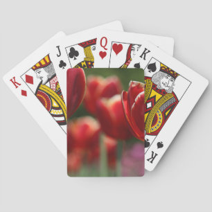 Jeu De Cartes Tulipes