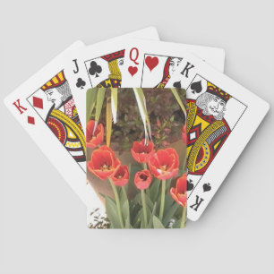 Jeu De Cartes Tulipes rouges