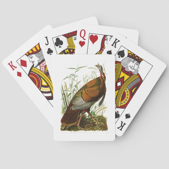 Jeu De Cartes Turquie sauvage John James Audubon Oiseaux d'Améri (dos)