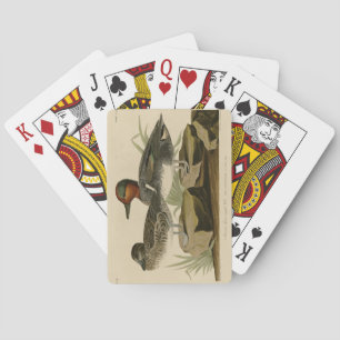 Jeu De Cartes Turquoise d'ailée verte américaine d'Audubon