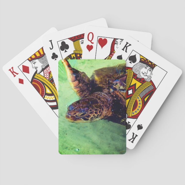 Jeu De Cartes Turtle (dos)