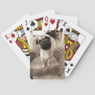 Jeu De Cartes Un carlin avec sa tête intitulée au côté