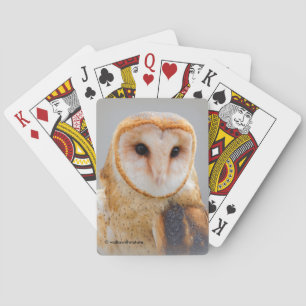 Jeu De Cartes Un chou de grange serein et magnifique
