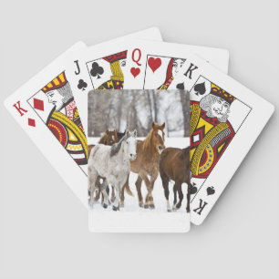 Jeu De Cartes Un hiver pittoresque de course