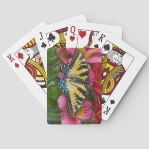 Jeu De Cartes Un papillon Papilio glaucus