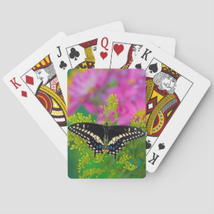 Jeu De Cartes Un papillon swallowtail atterrissant